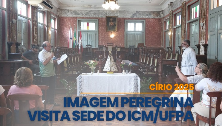 imagem sem descrição.